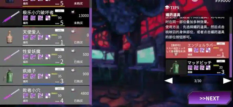 桃映羽3D模拟 日式3D 实机截图 6